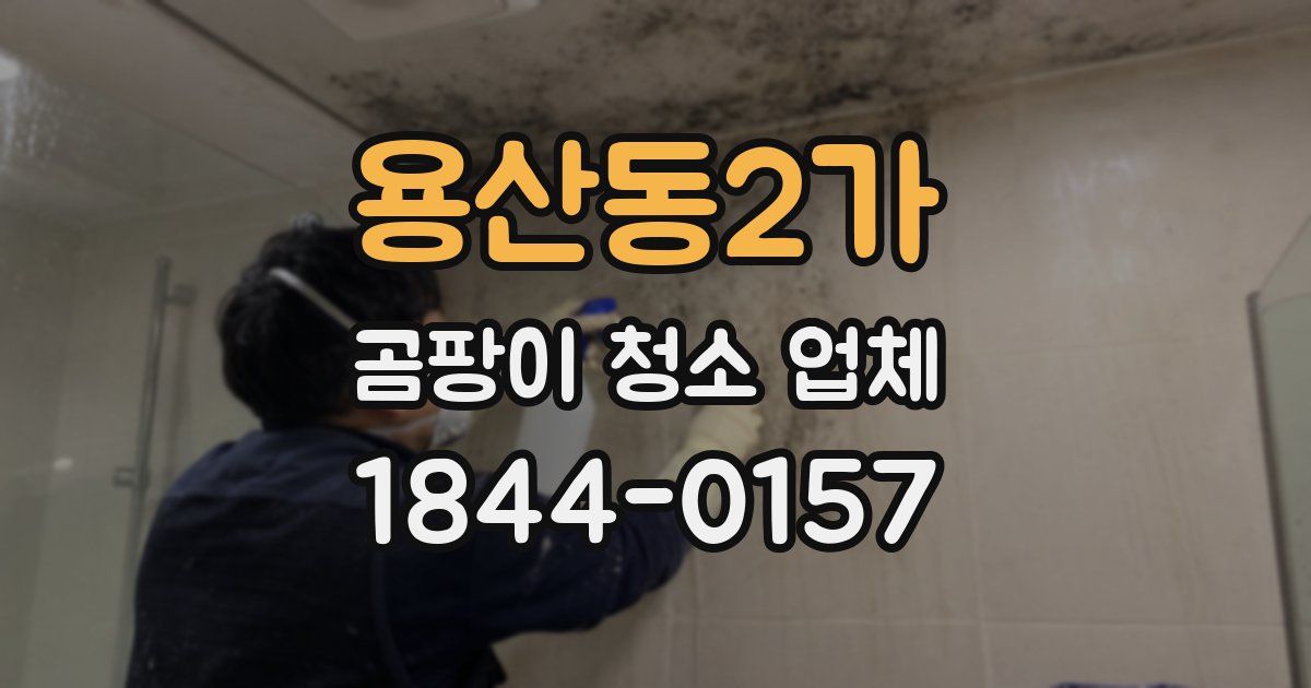 용산동2가 곰팡이 청소 업체
