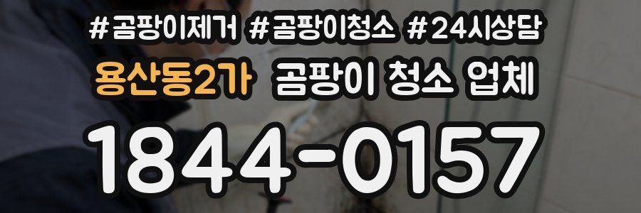 용산동2가 곰팡이 청소 업체