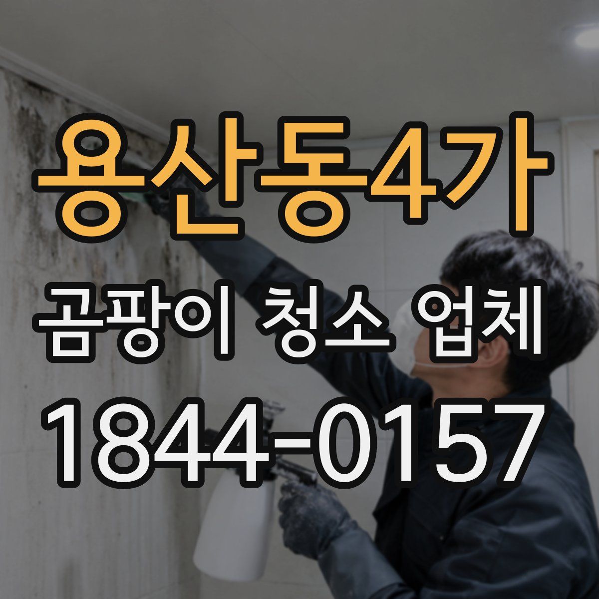 용산동4가 곰팡이 청소 업체