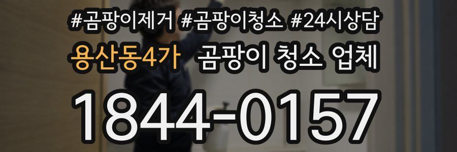 용산동4가 곰팡이 청소 업체
