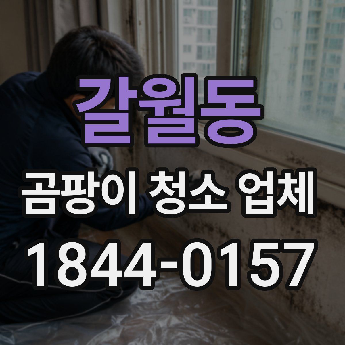 갈월동 곰팡이 청소 업체