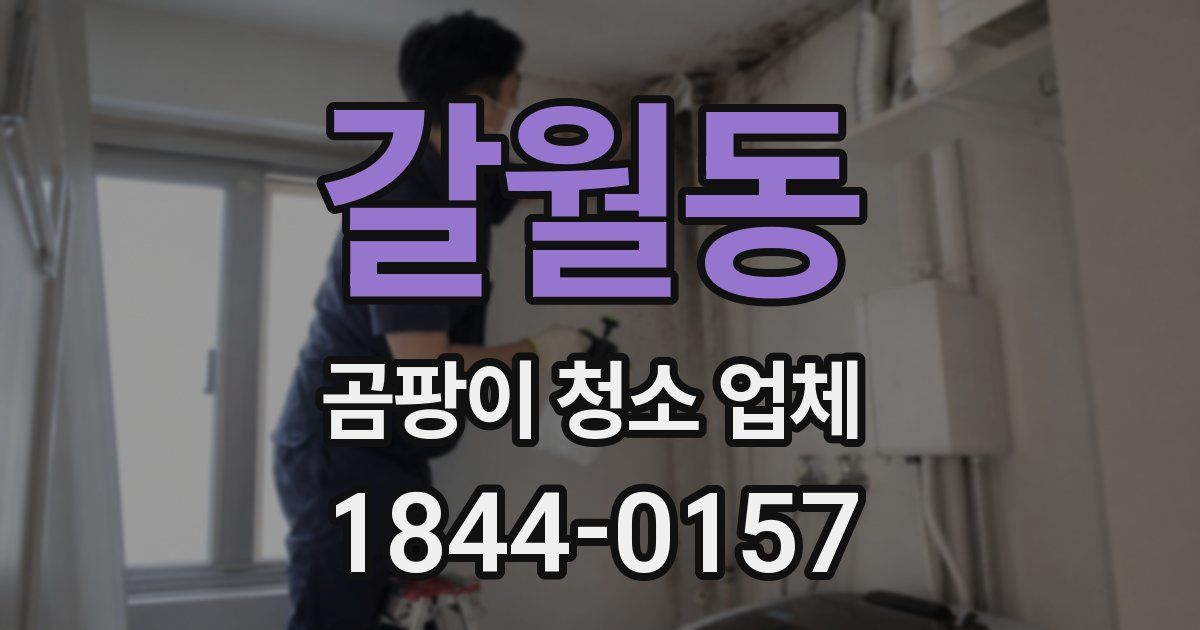 갈월동 곰팡이 청소 업체