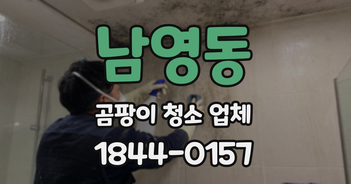 남영동 곰팡이 청소 업체
