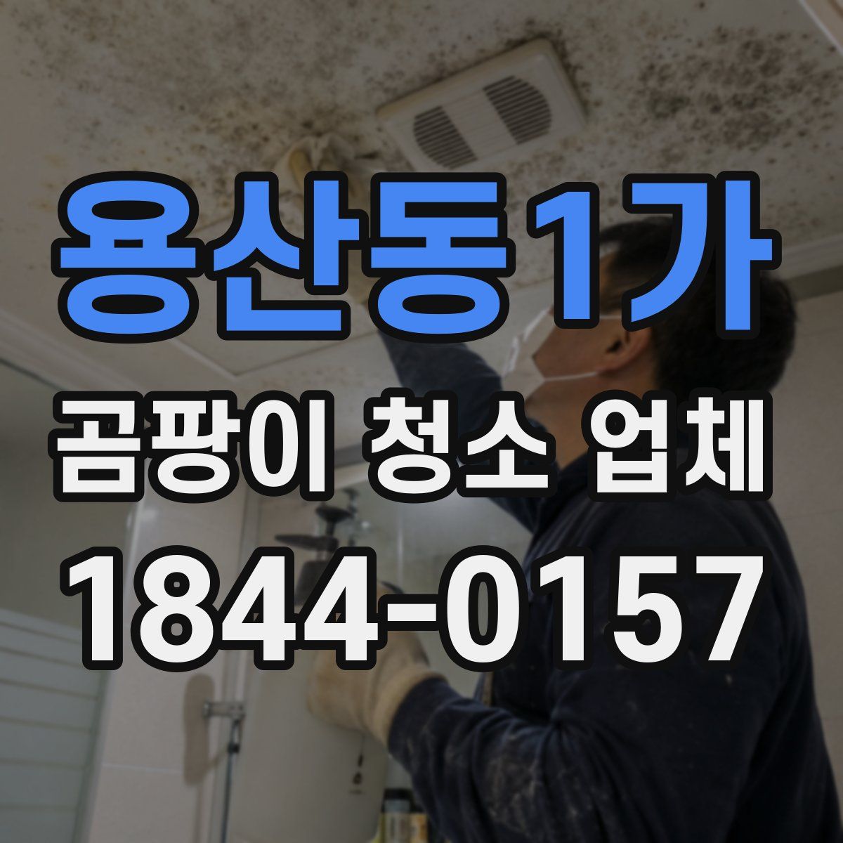 용산동1가 곰팡이 청소 업체