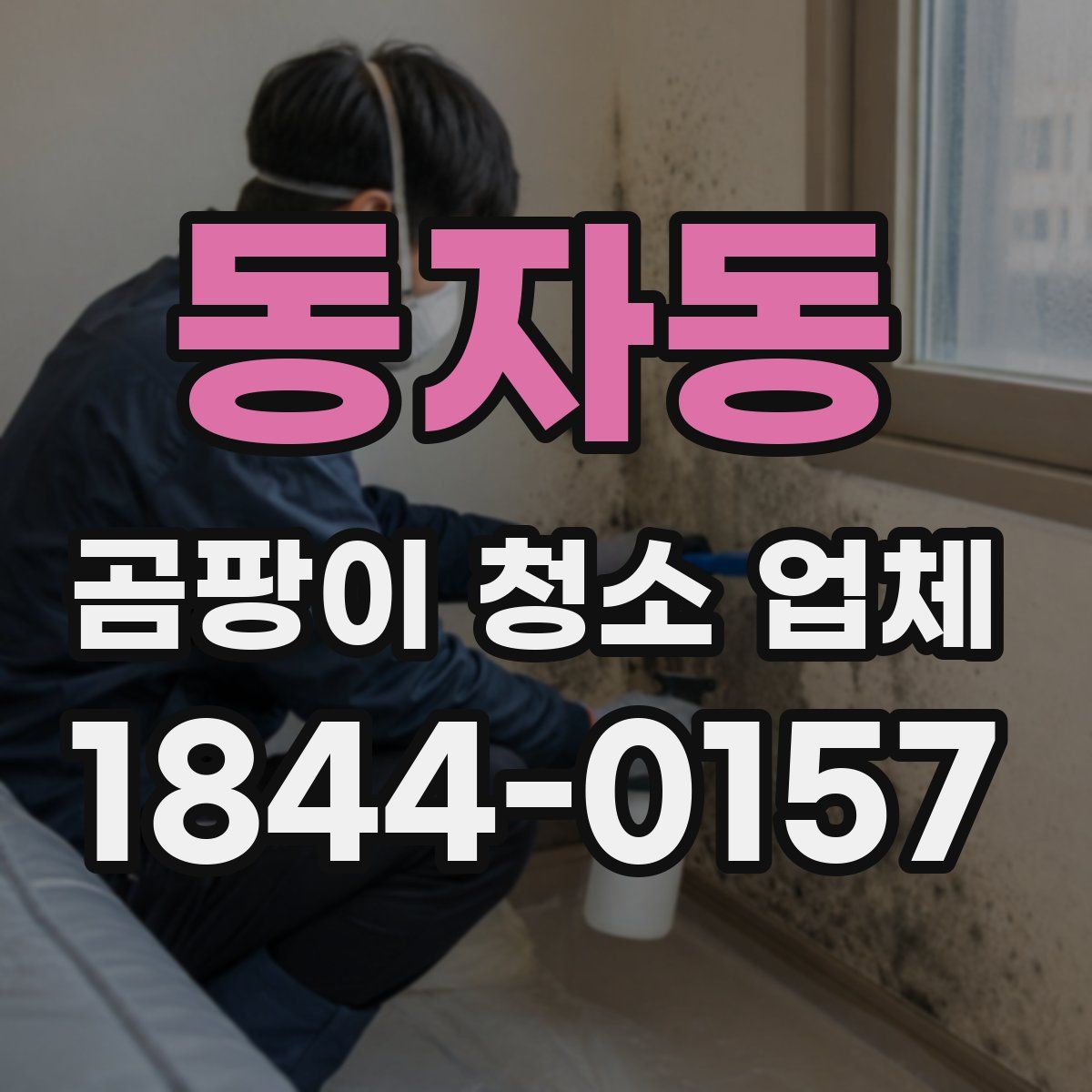 동자동 곰팡이 청소 업체