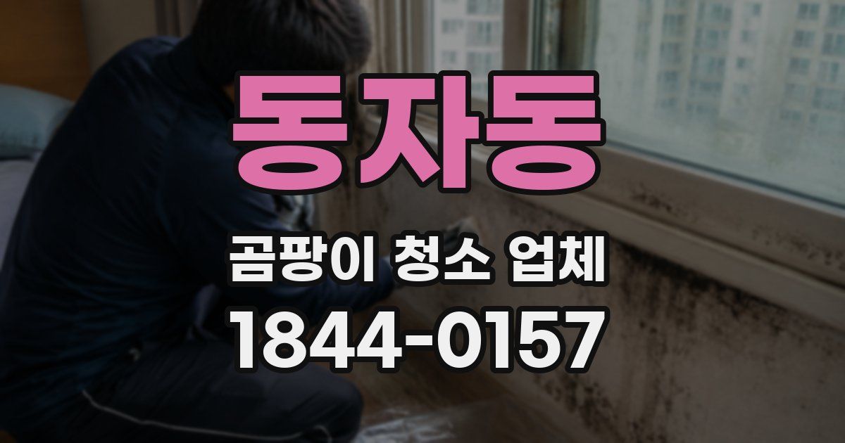 동자동 곰팡이 청소 업체