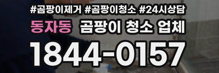 동자동 곰팡이 청소 업체