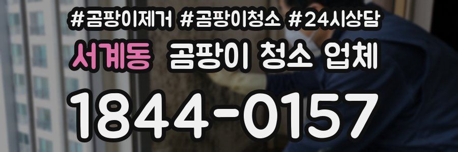 서계동 곰팡이 청소 업체