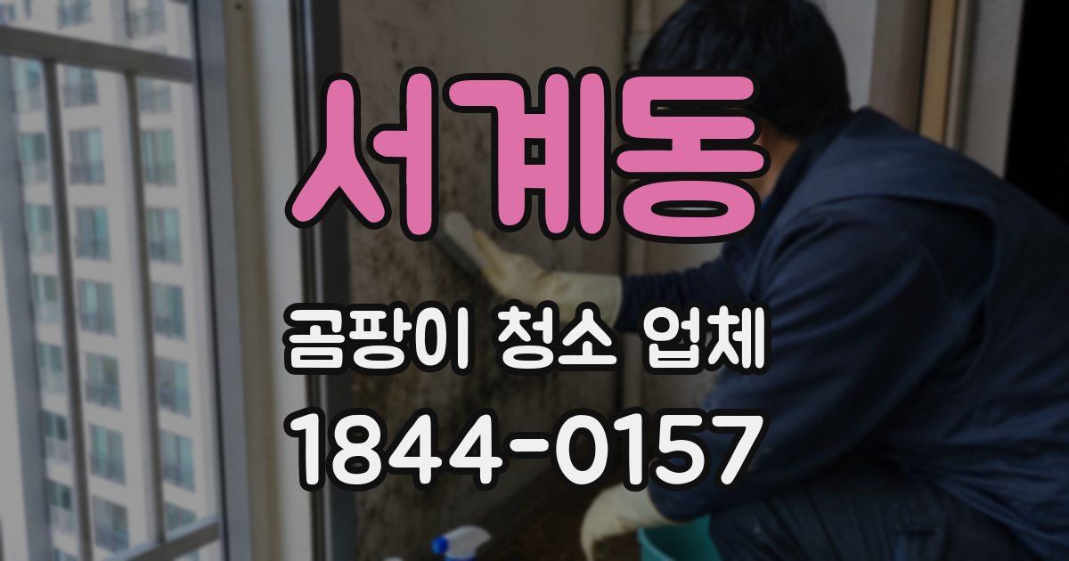 서계동 곰팡이 청소 업체