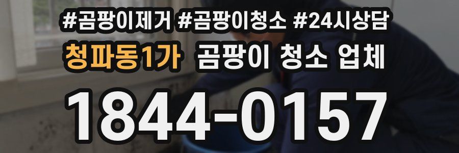 청파동1가 곰팡이 청소 업체