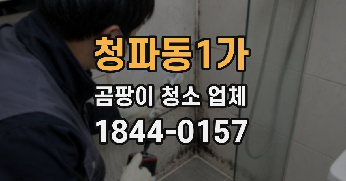 청파동1가 곰팡이 청소 업체