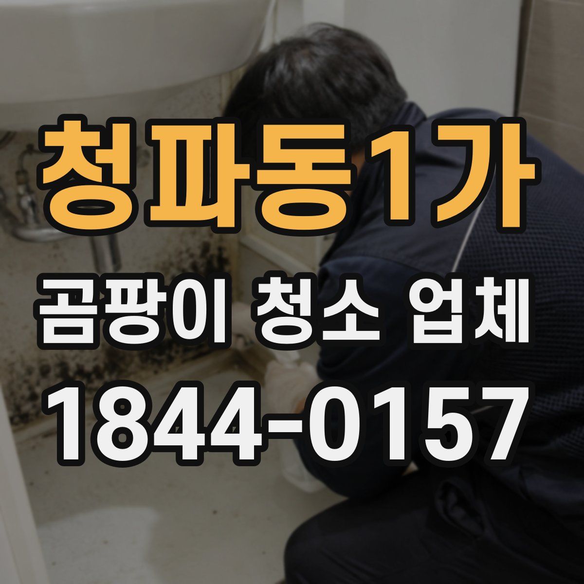 청파동1가 곰팡이 청소 업체