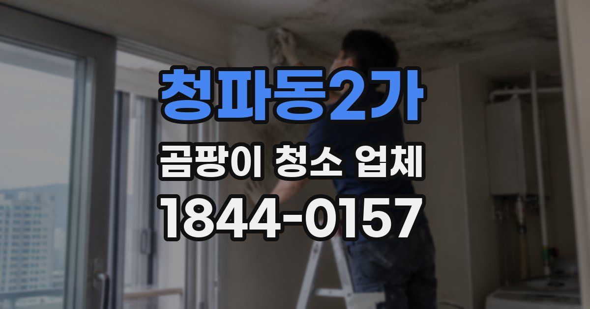청파동2가 곰팡이 청소 업체