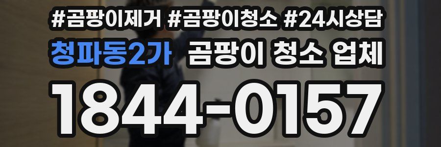 청파동2가 곰팡이 청소 업체