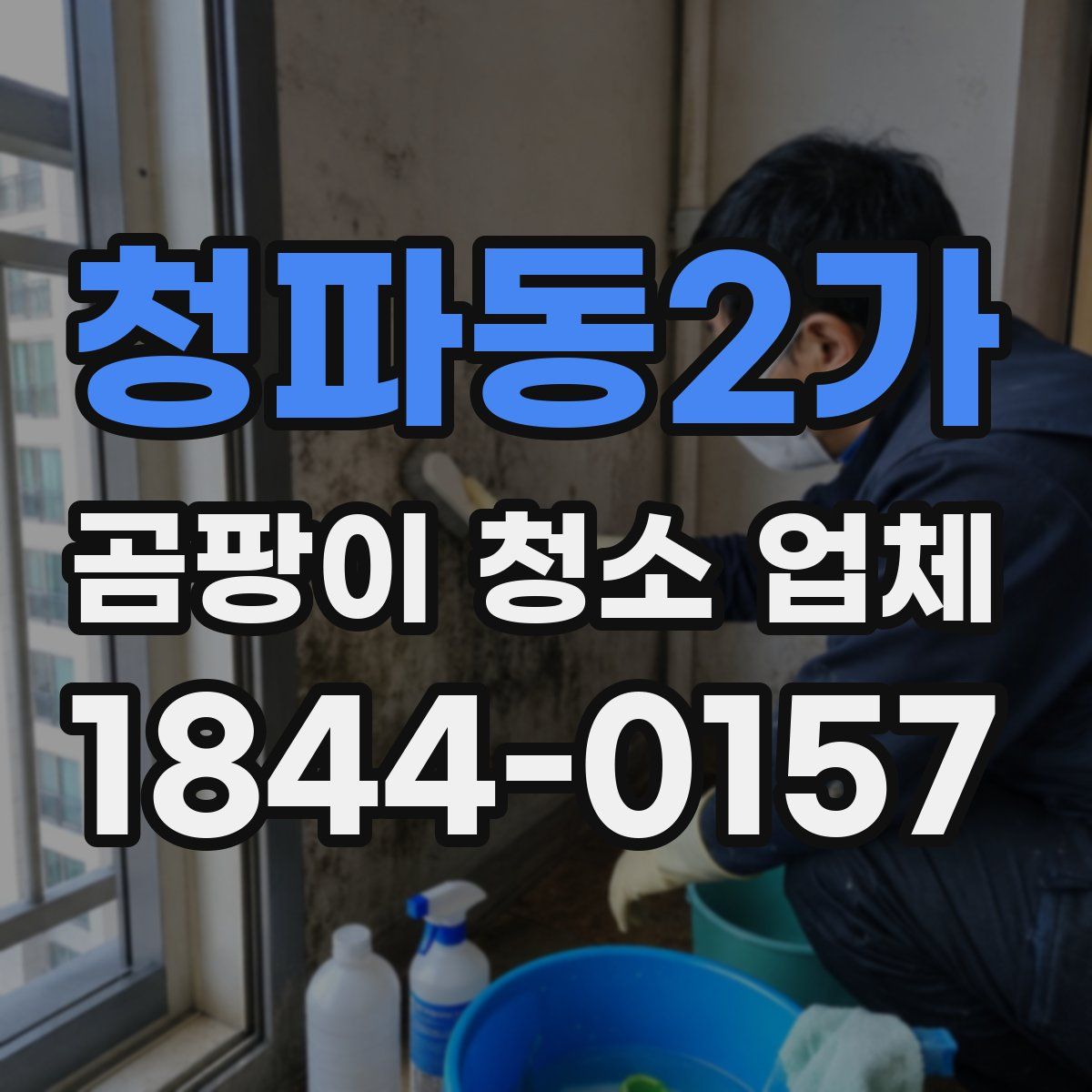 청파동2가 곰팡이 청소 업체