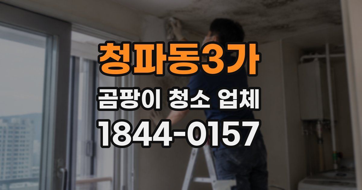 청파동3가 곰팡이 청소 업체