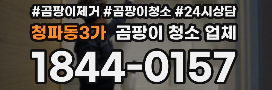청파동3가 곰팡이 청소 업체