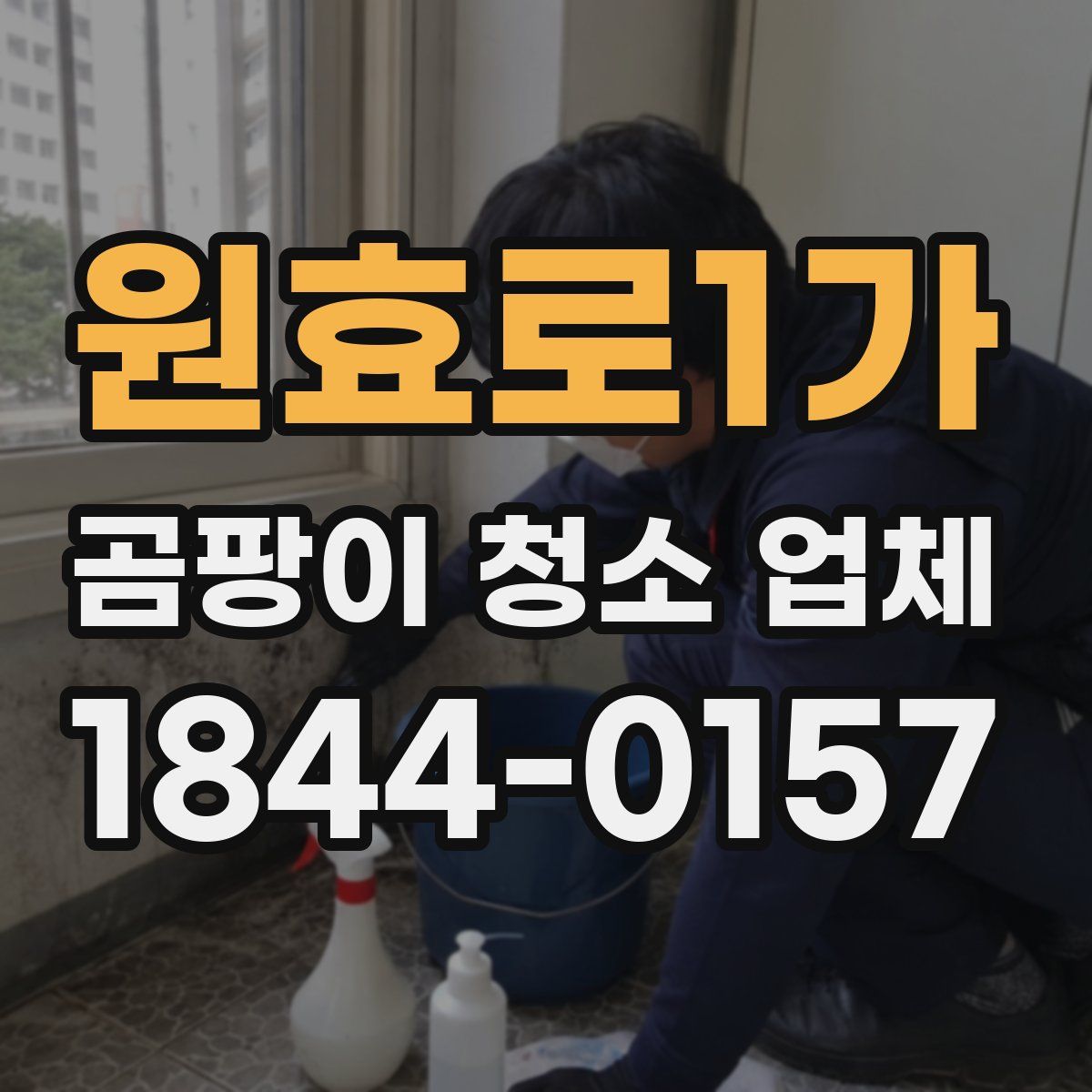 원효로1가 곰팡이 청소 업체