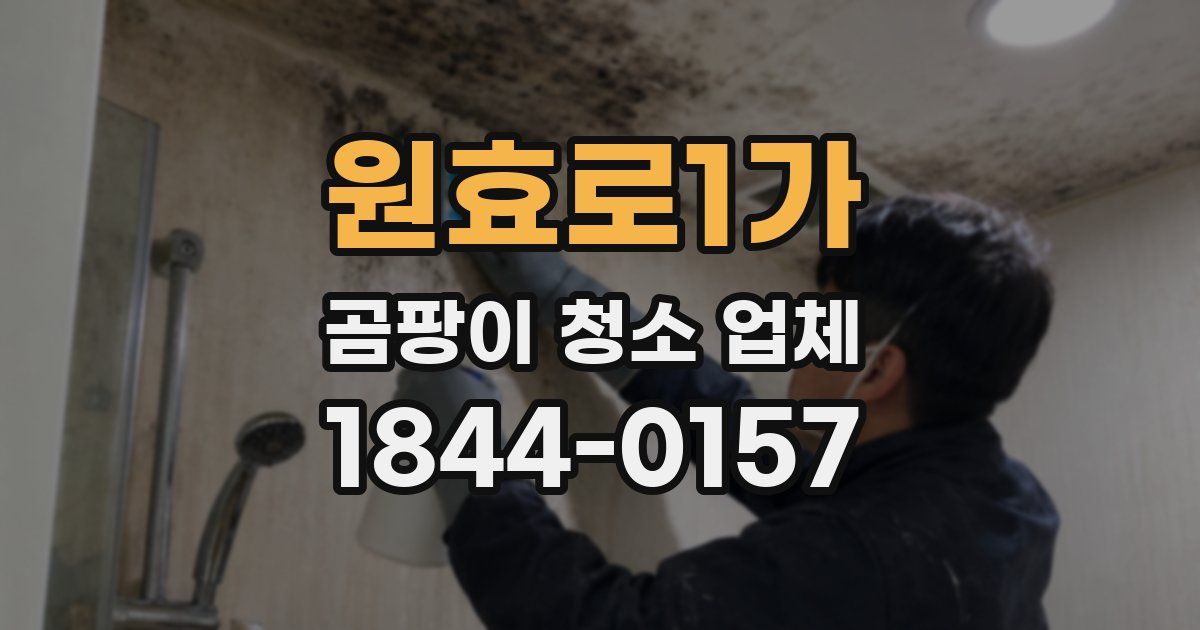 원효로1가 곰팡이 청소 업체