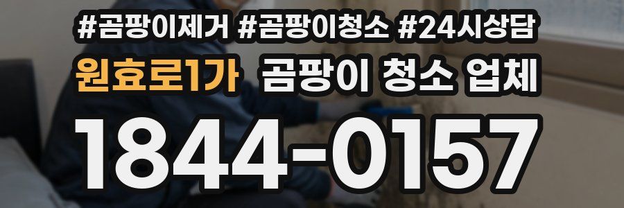 원효로1가 곰팡이 청소 업체