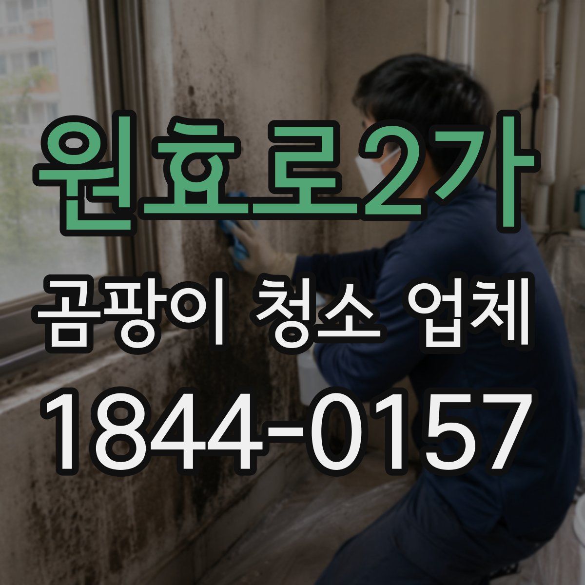 원효로2가 곰팡이 청소 업체