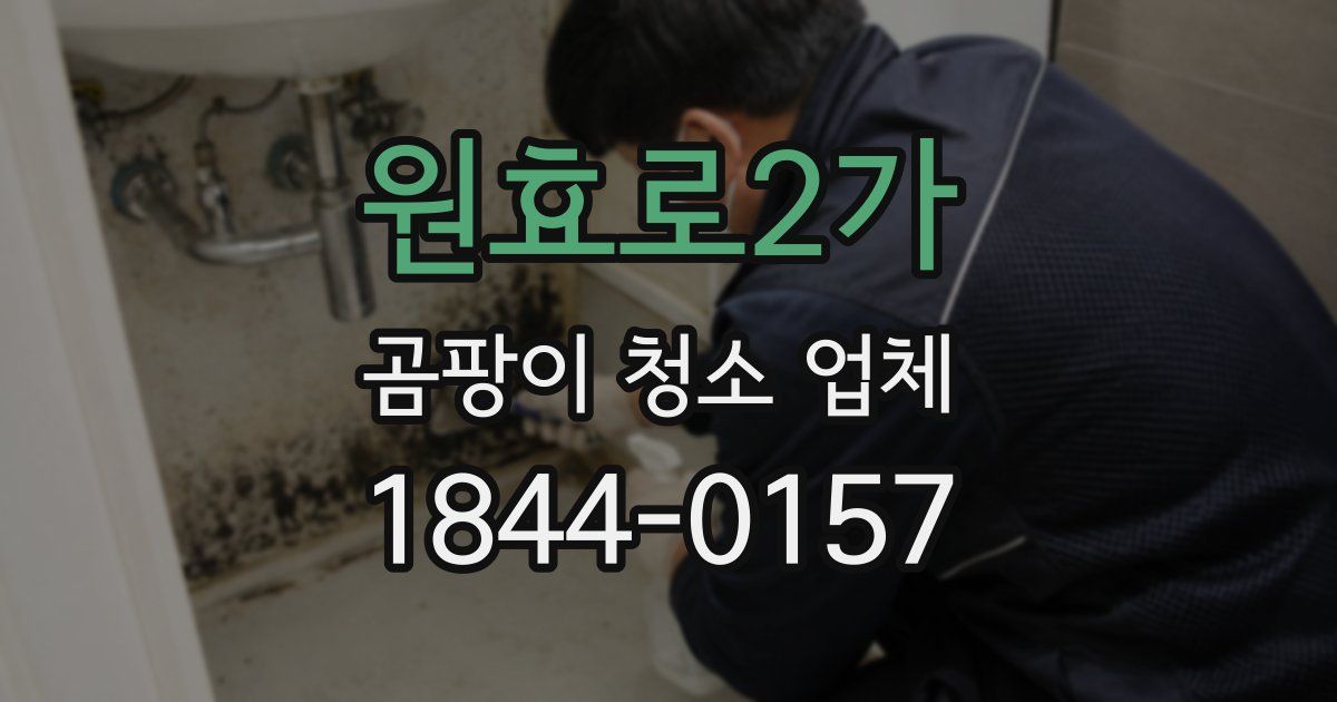 원효로2가 곰팡이 청소 업체