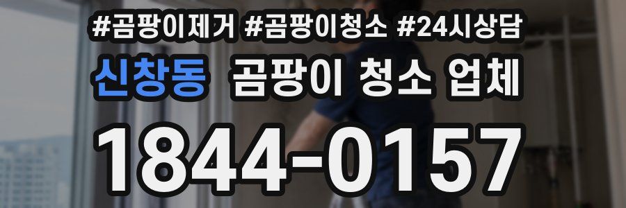 신창동 곰팡이 청소 업체
