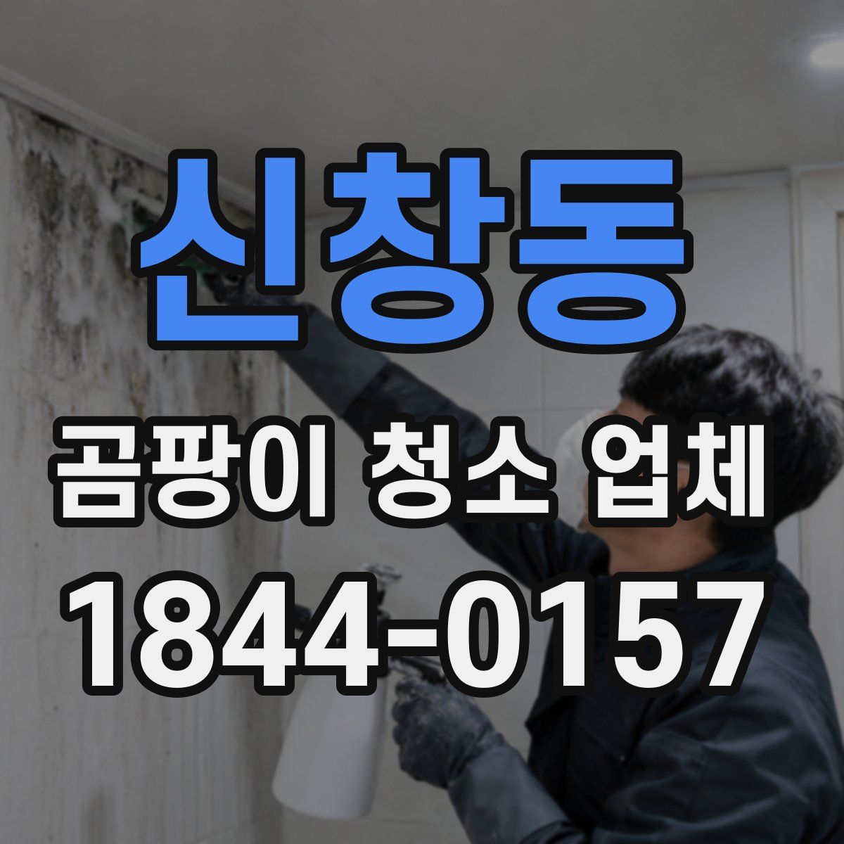 신창동 곰팡이 청소 업체