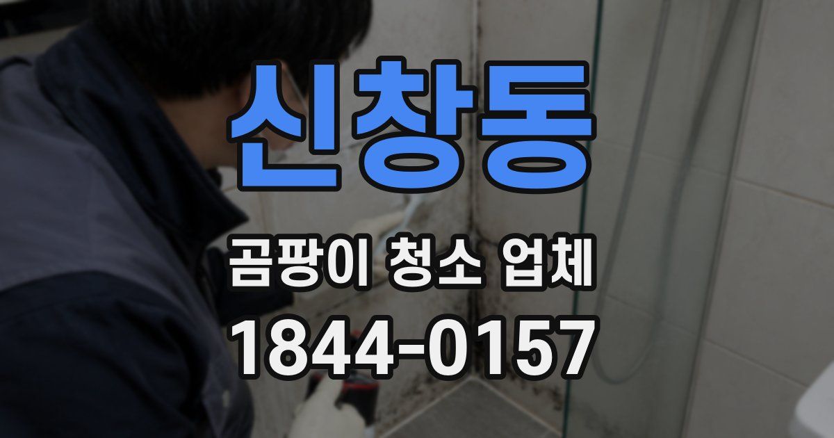신창동 곰팡이 청소 업체