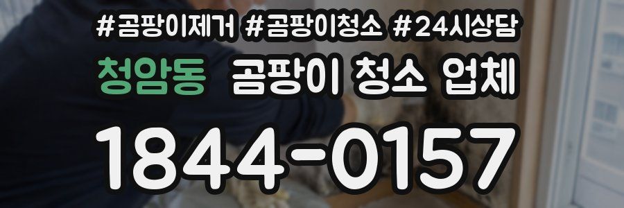 청암동 곰팡이 청소 업체