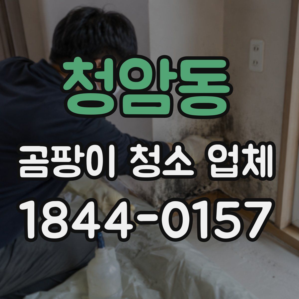 청암동 곰팡이 청소 업체