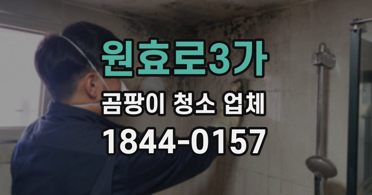 원효로3가 곰팡이 청소 업체