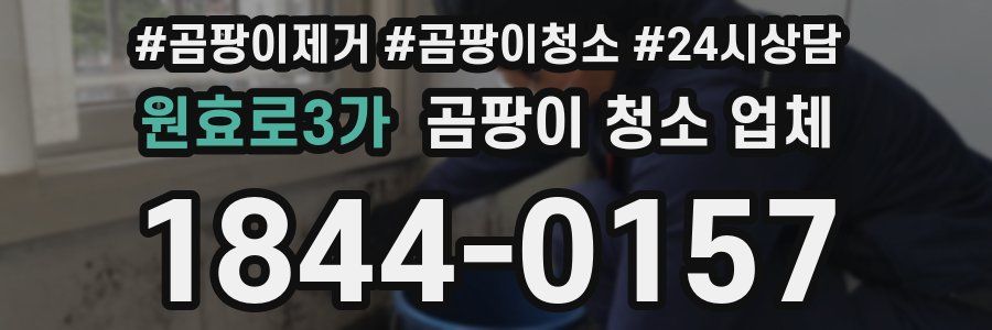 원효로3가 곰팡이 청소 업체