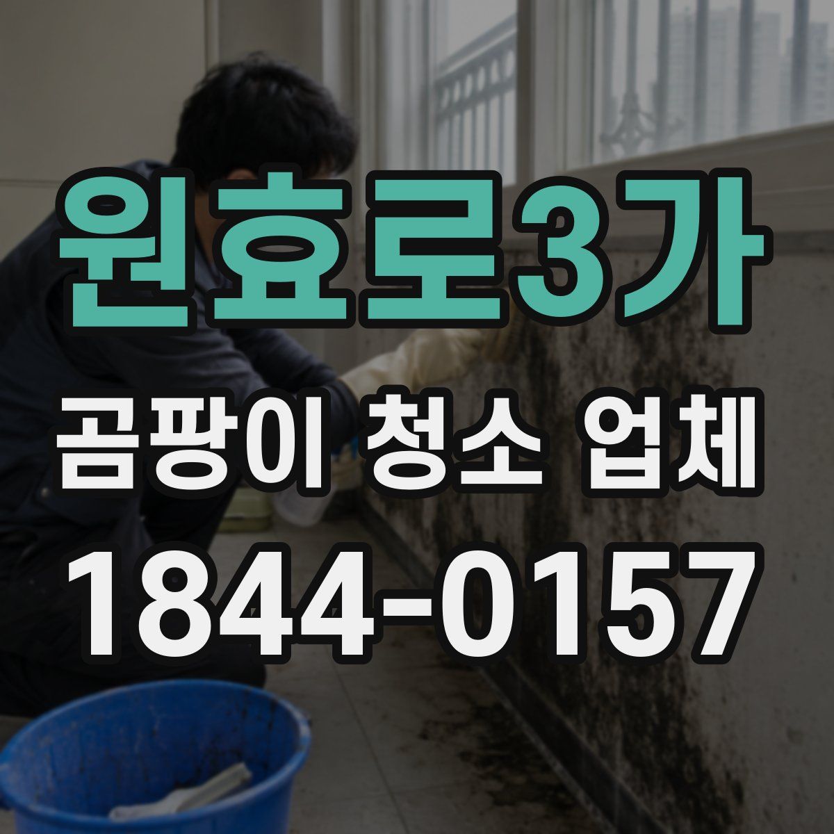 원효로3가 곰팡이 청소 업체