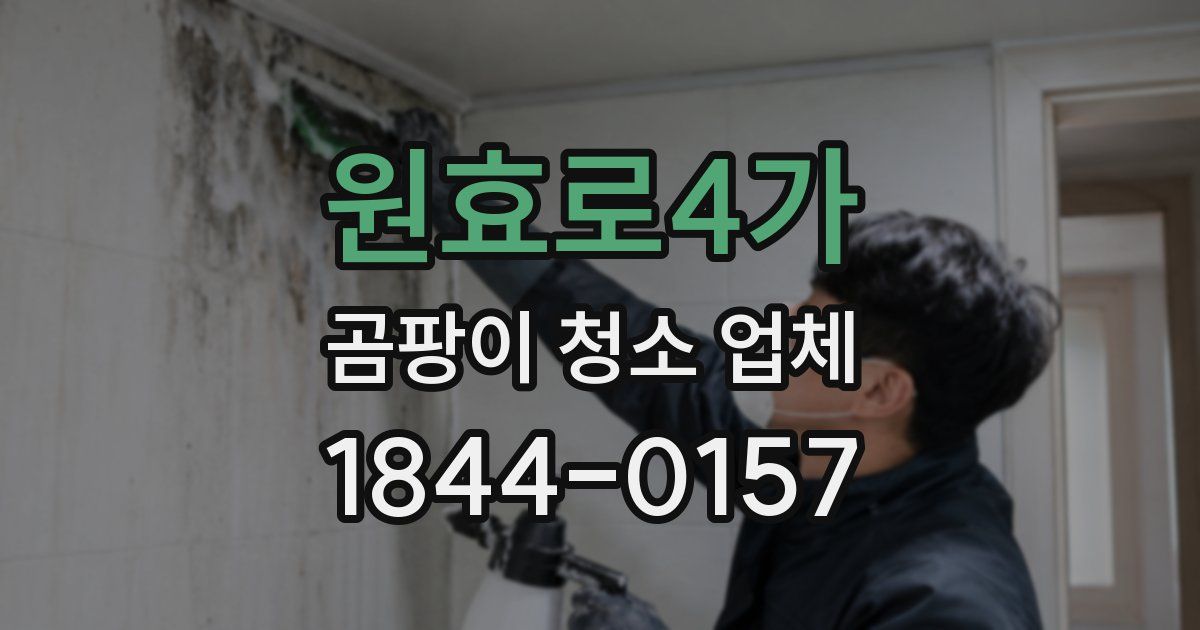 원효로4가 곰팡이 청소 업체