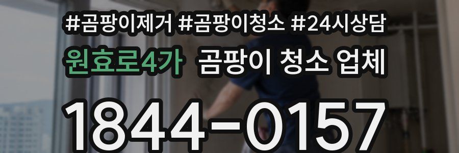 원효로4가 곰팡이 청소 업체