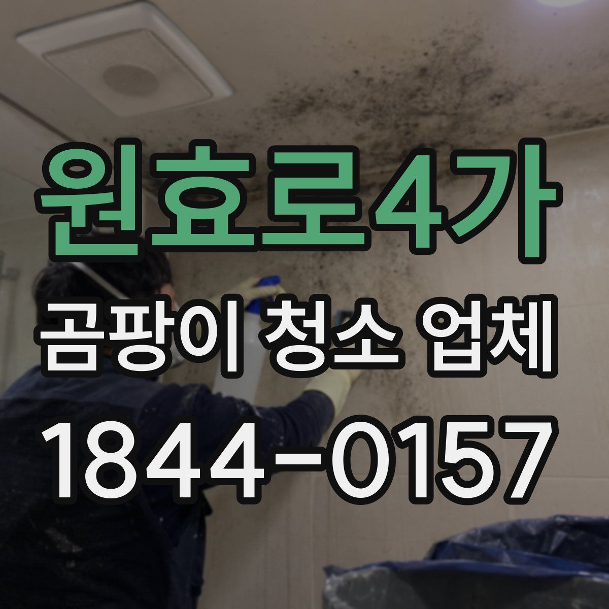 원효로4가 곰팡이 청소 업체