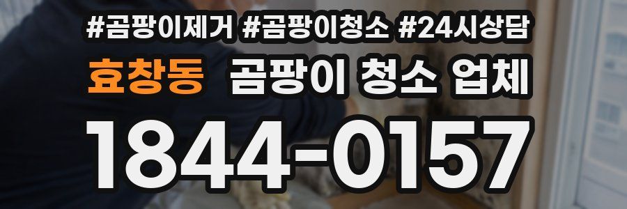 효창동 곰팡이 청소 업체