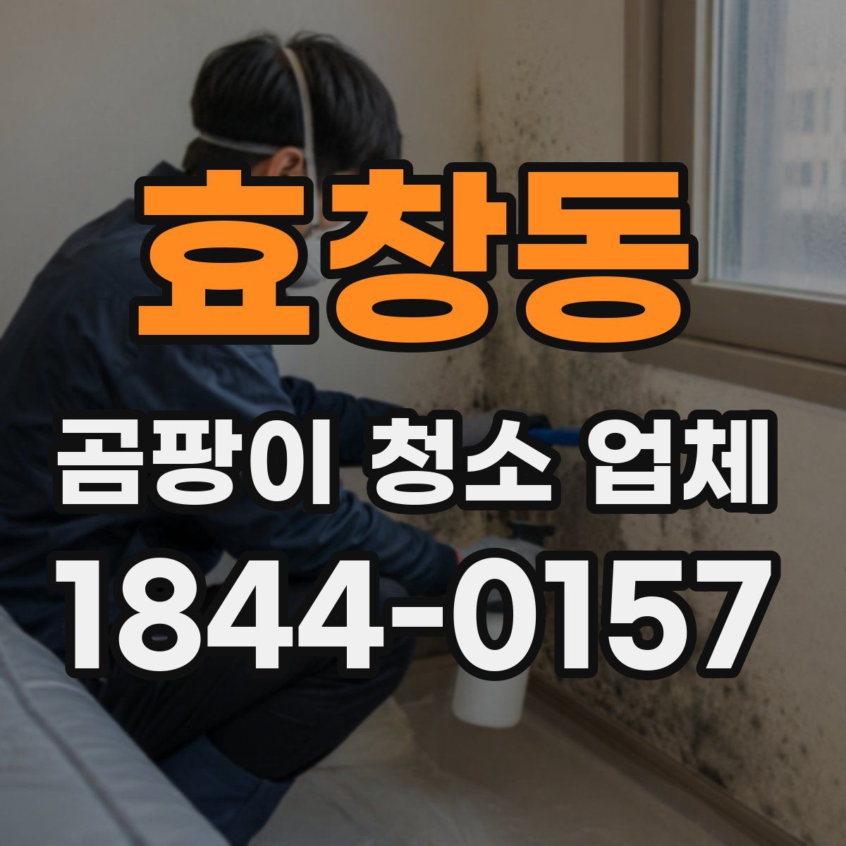 효창동 곰팡이 청소 업체