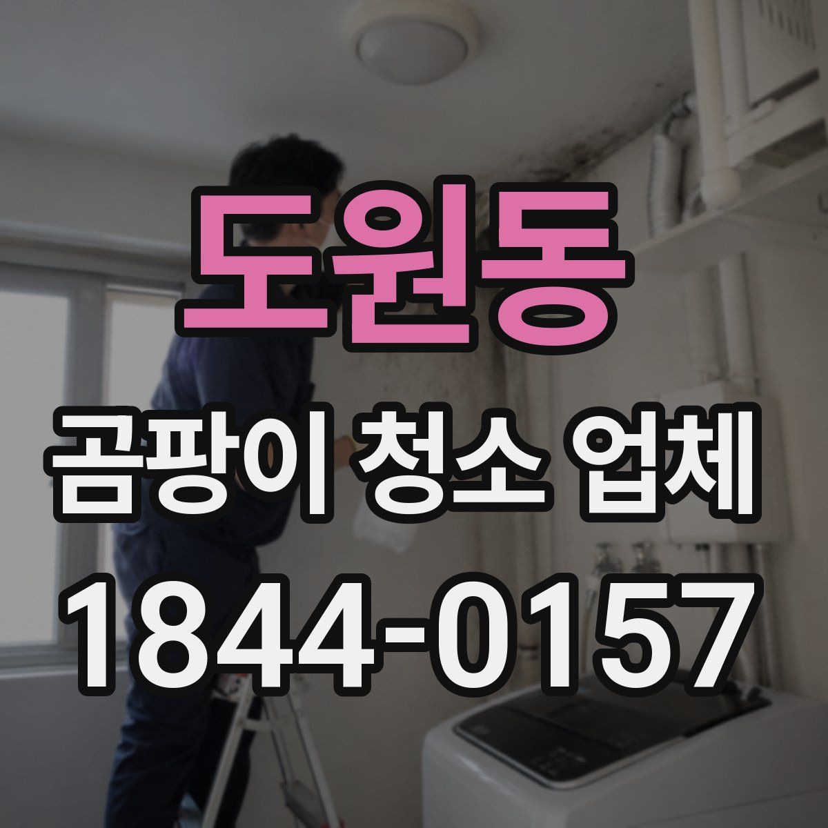 도원동 곰팡이 청소 업체