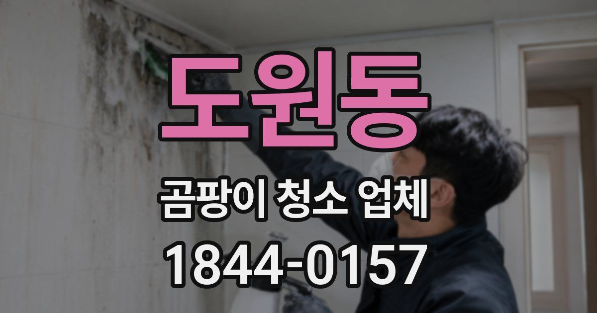 도원동 곰팡이 청소 업체