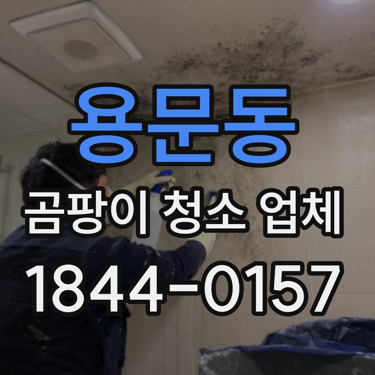 용문동 곰팡이 청소 업체 번식 환경을 막는 실내 습도 관리법