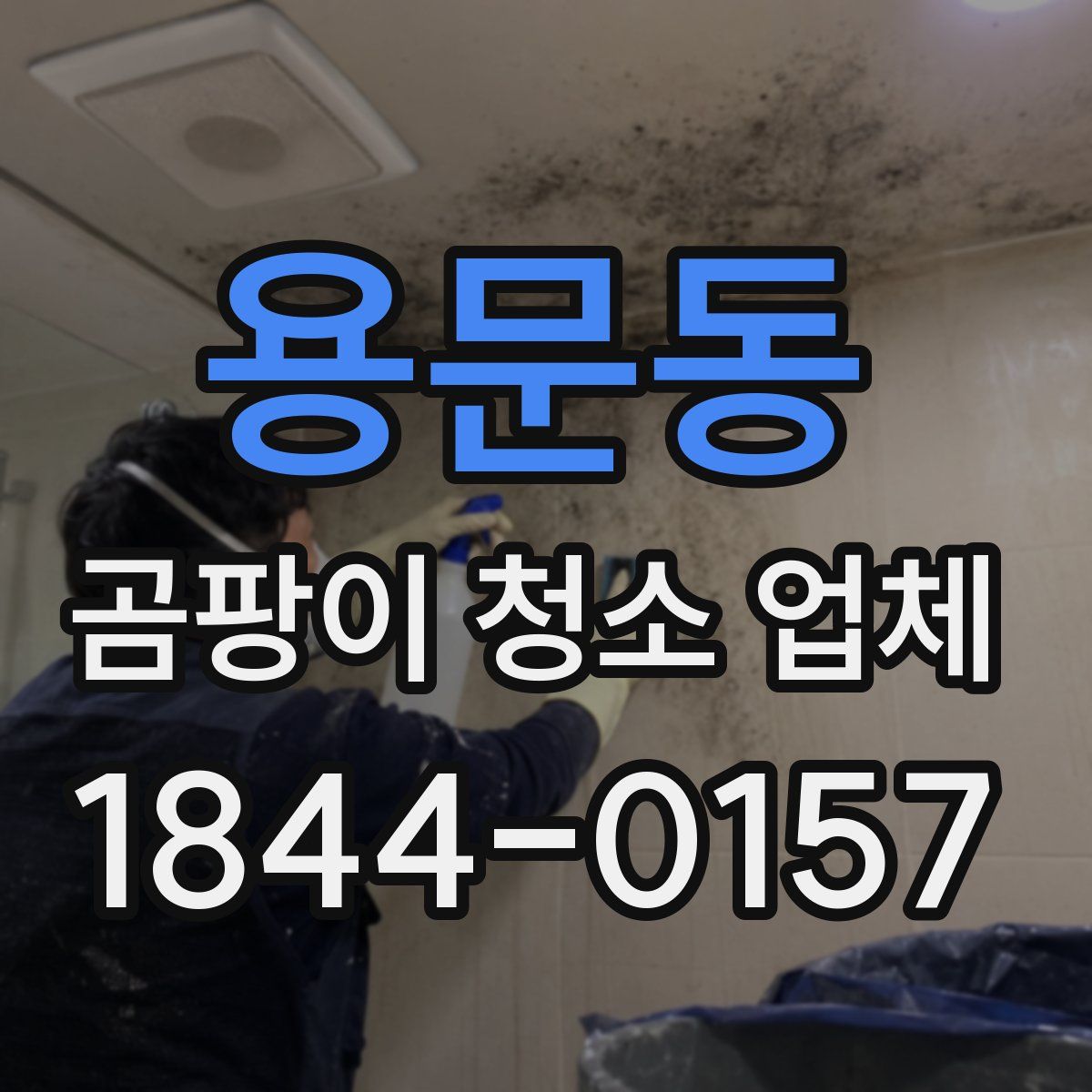 용문동 곰팡이 청소 업체