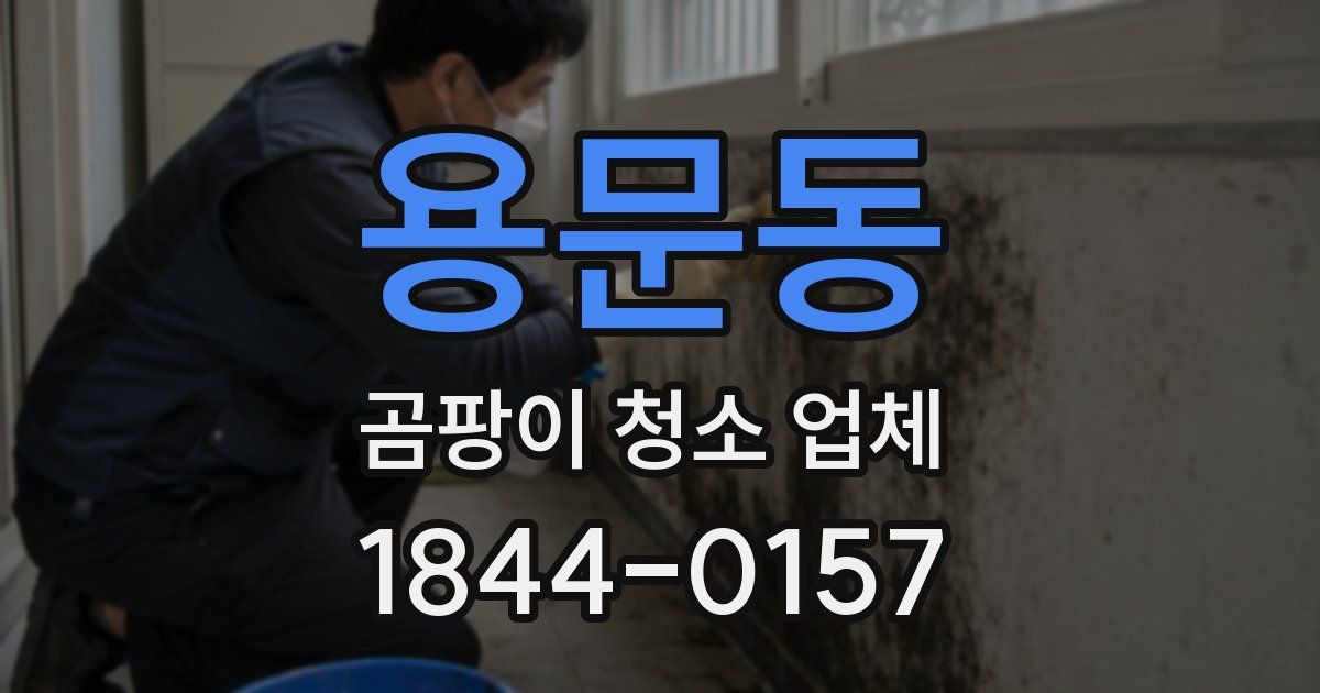 용문동 곰팡이 청소 업체