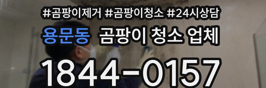 용문동 곰팡이 청소 업체