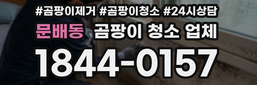 문배동 곰팡이 청소 업체