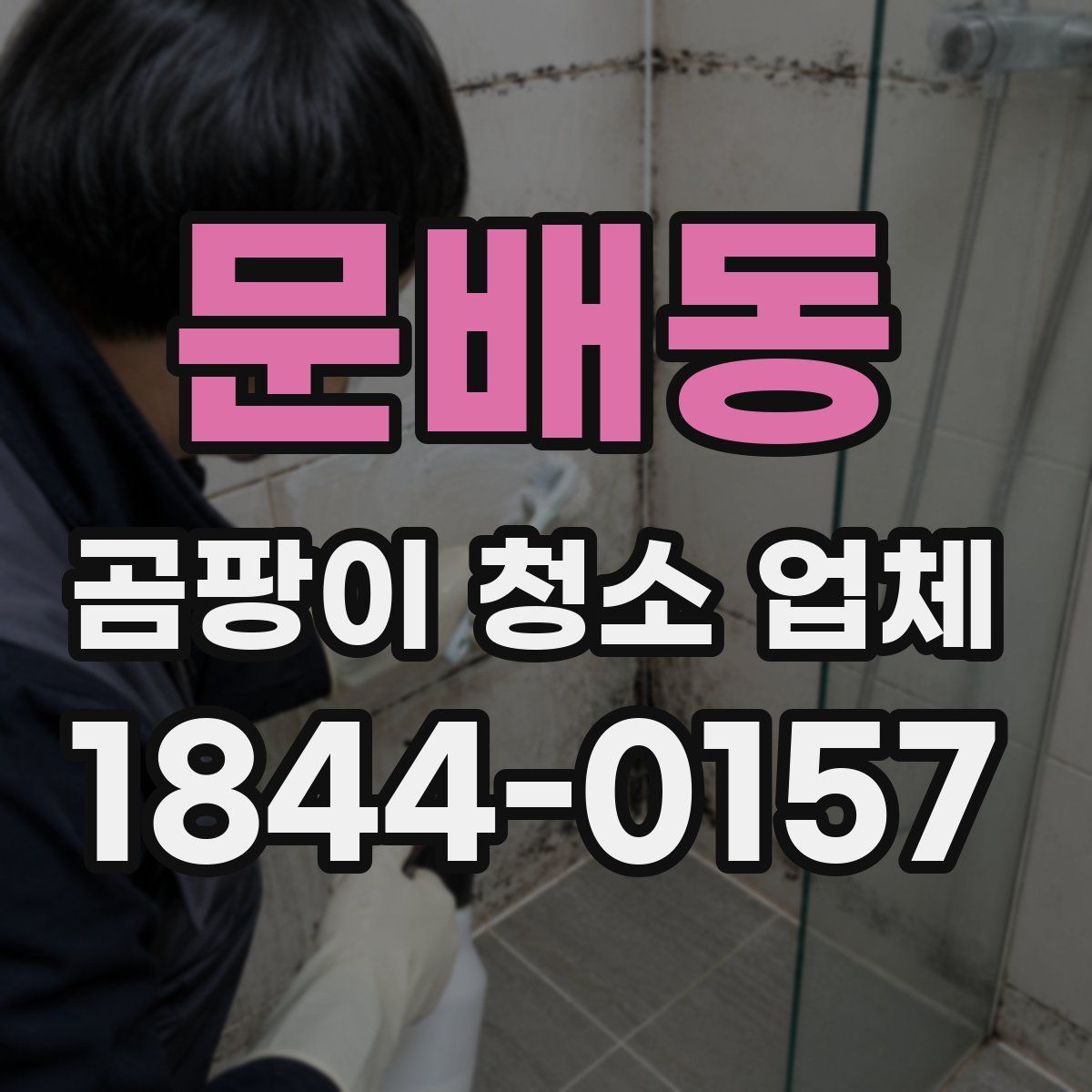 문배동 곰팡이 청소 업체