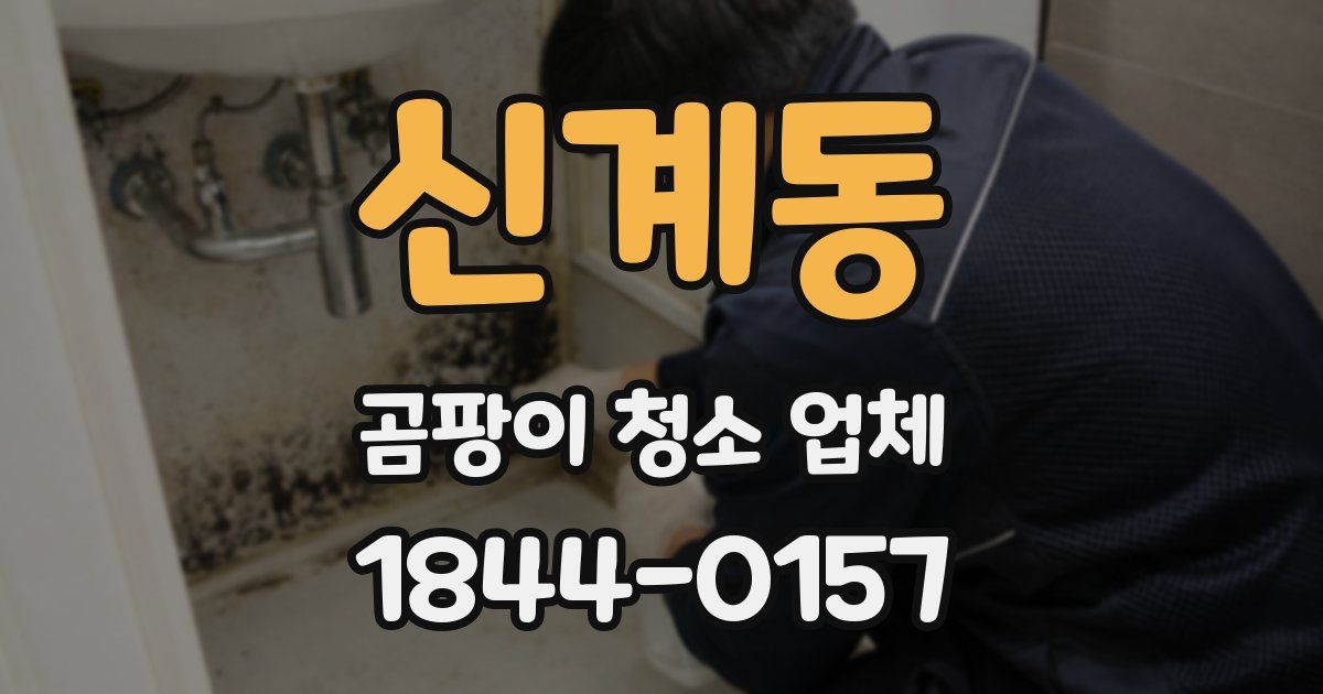 신계동 곰팡이 청소 업체
