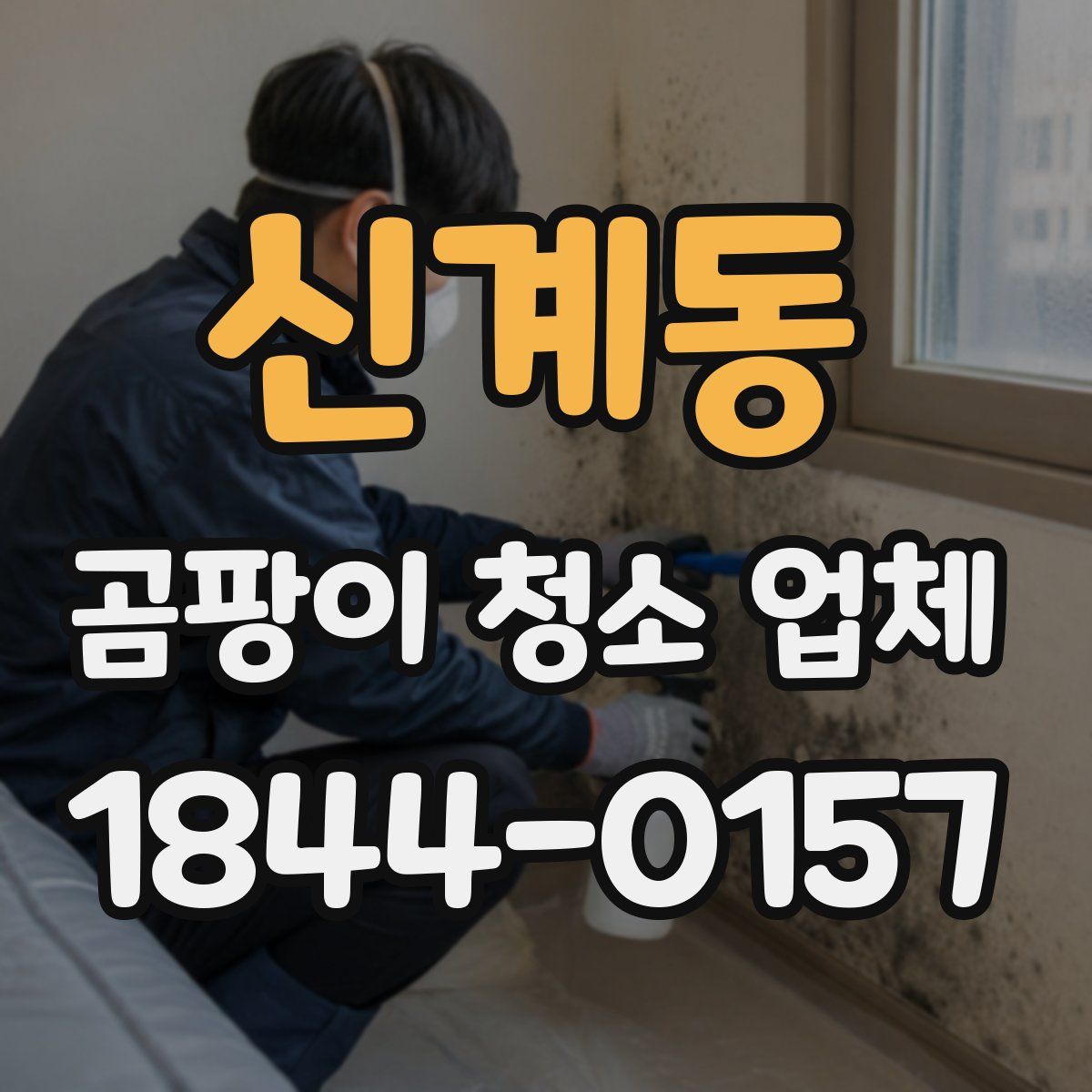 신계동 곰팡이 청소 업체