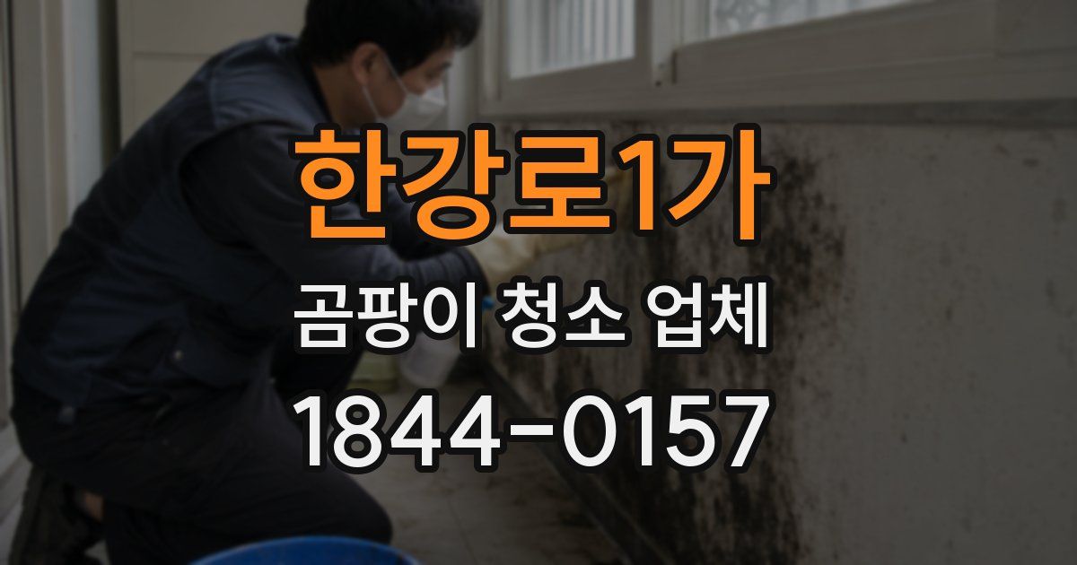 한강로1가 곰팡이 청소 업체